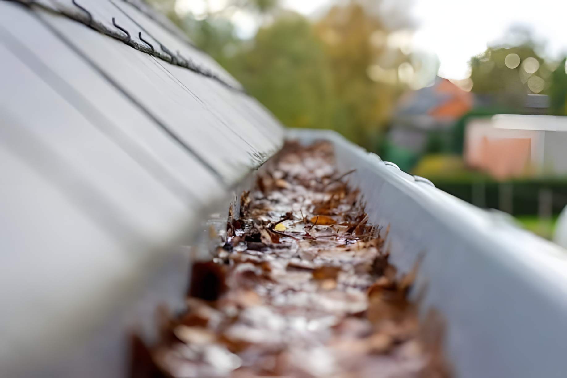 gouttière obstruée par des feuilles